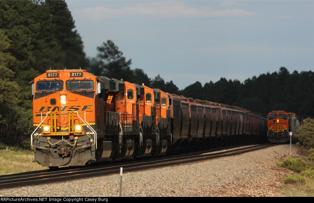 BNSF 8177